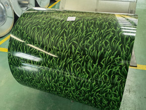 Grass Pattern Coated Steel
